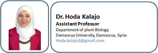 Editorial Board Member