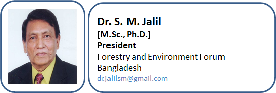 Editorial Board Member